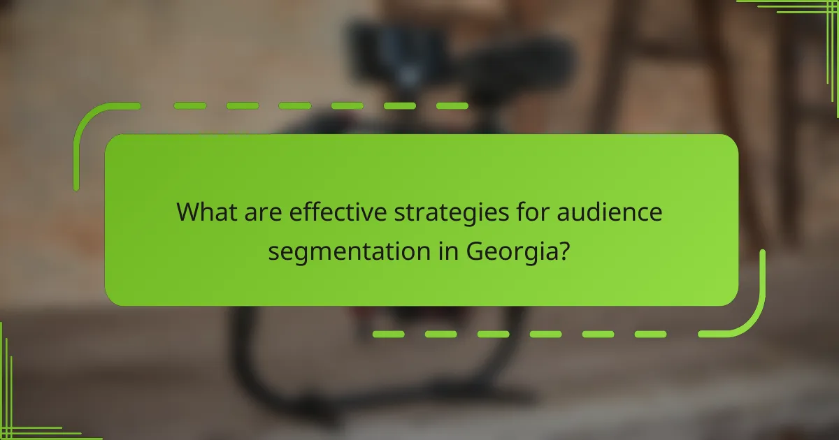 What are effective strategies for audience segmentation in Georgia?